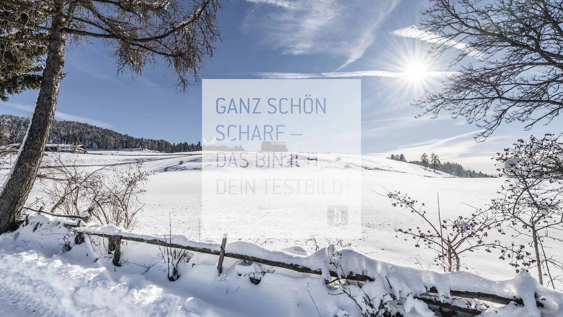 Winter